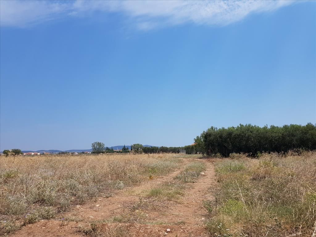 Земля в Ситонии, Греция, 8 687 м² - фото 2
