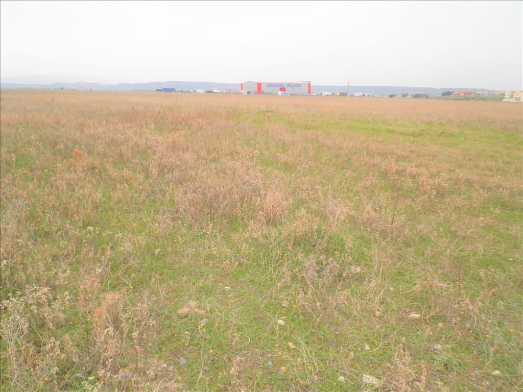 Земля на Халкидиках, Греция, 5 512 м² - фото 2