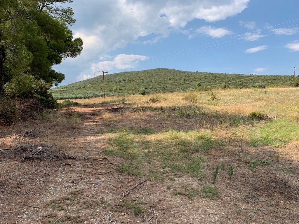 Земля в Ситонии, Греция, 5 301 м² - фото 2