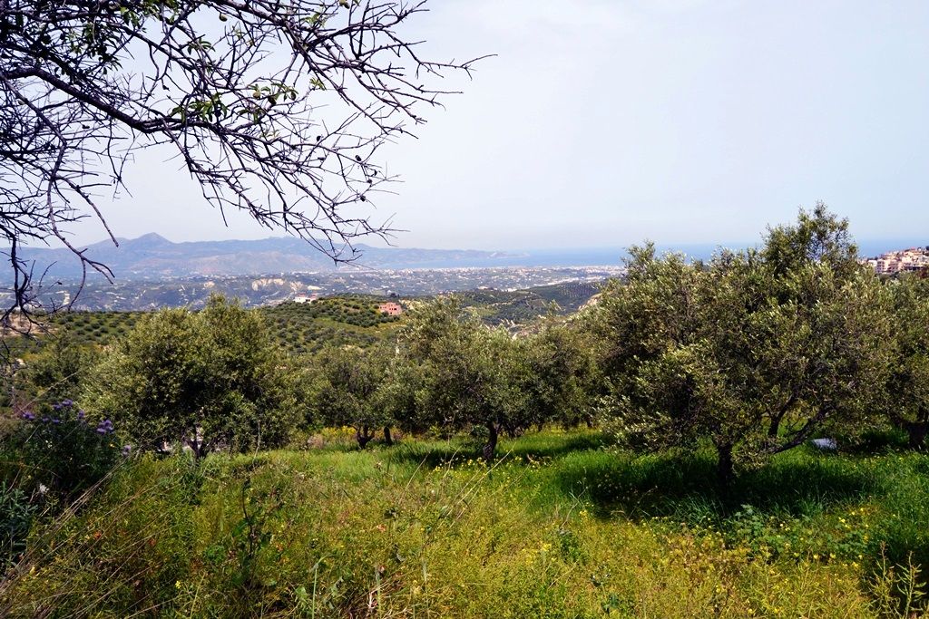 Земля в Ираклионе, Греция, 2 900 м² - фото 2