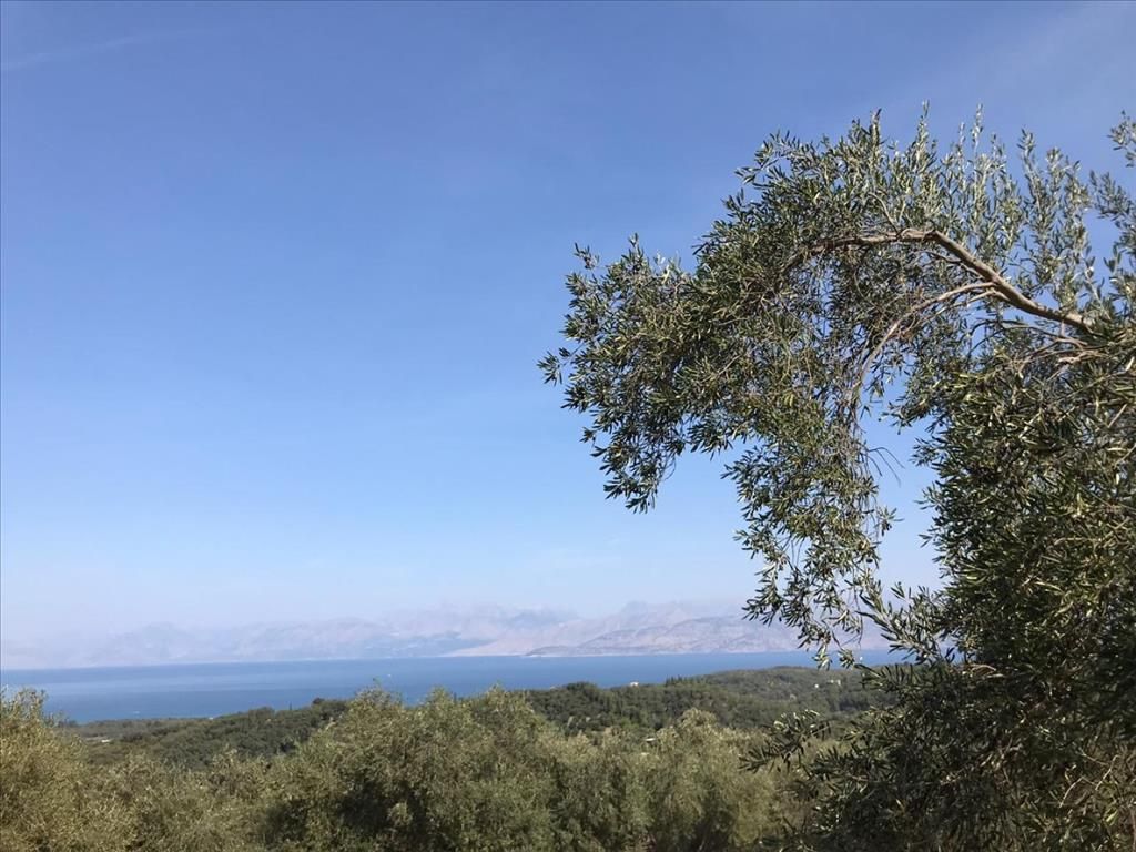 Земля на Корфу, Греция, 6 000 м2 - фото 1