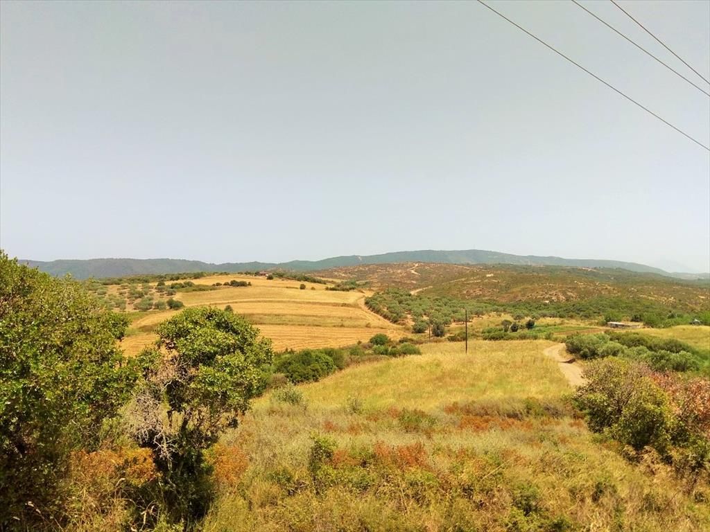 Земля на Афоне, Греция, 10 750 м2 - фото 1