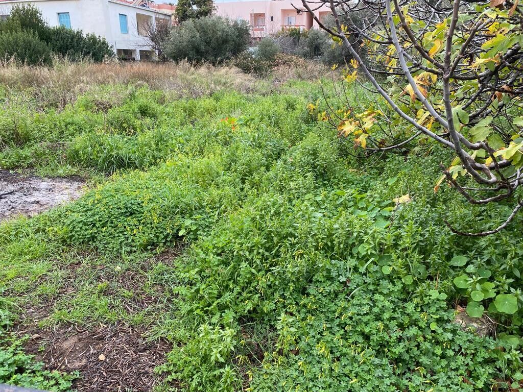 Земля в Ираклионе, Греция, 1 372 м² - фото 3