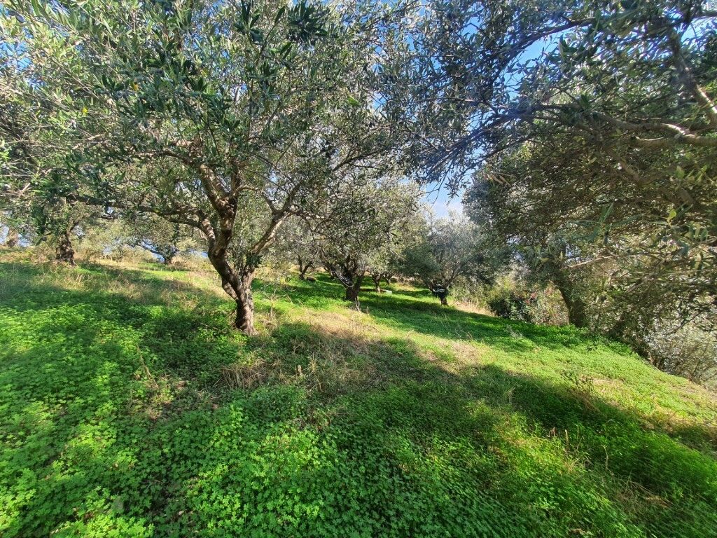 Земля в Ираклионе, Греция, 1 500 м² - фото 3