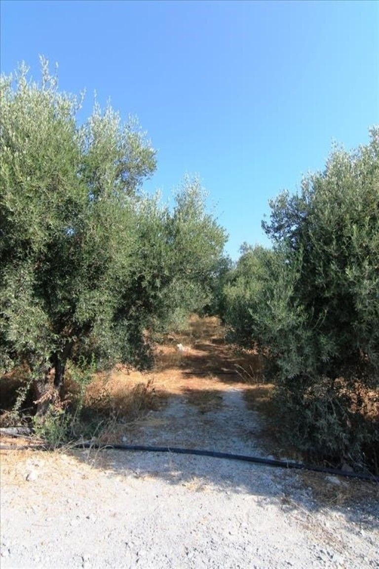 Земля в Ираклионе, Греция, 5 000 м² - фото 3