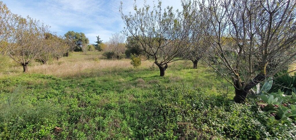 Земля на Халкидиках, Греция, 2 000 м² - фото 3