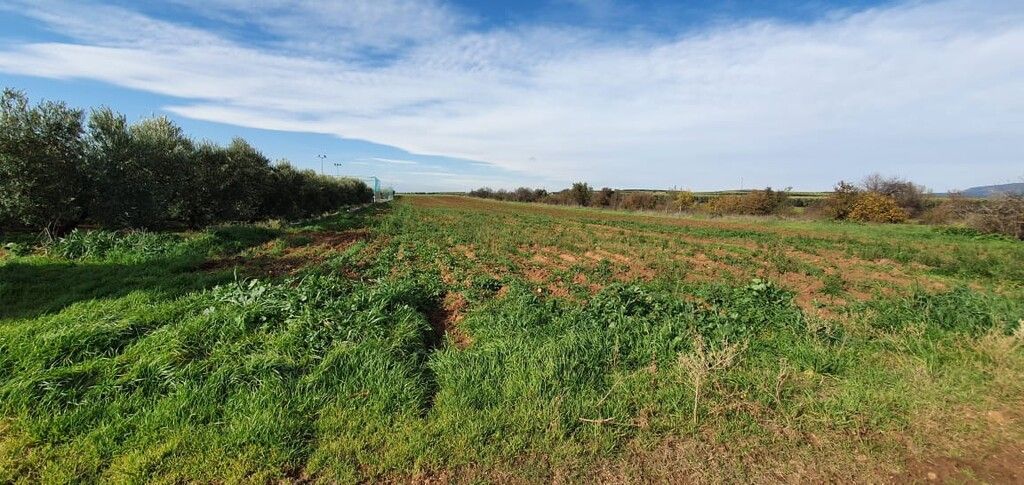 Земля на Халкидиках, Греция, 10 000 м² - фото 3