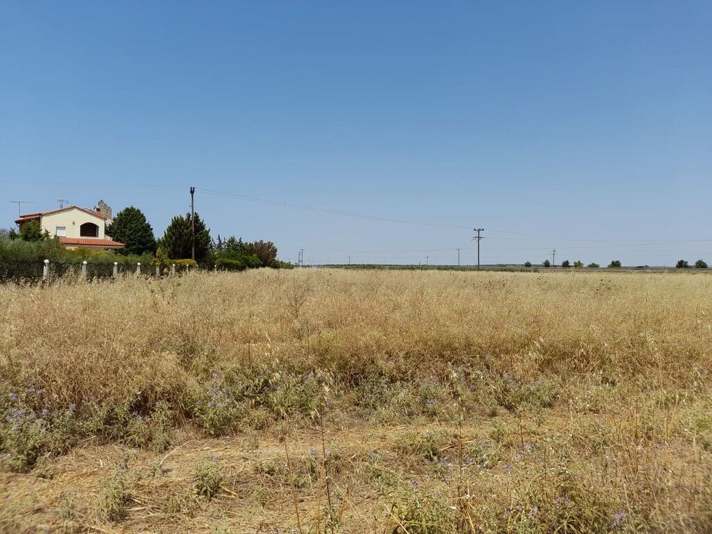 Земля на Халкидиках, Греция, 10 000 м² - фото 3