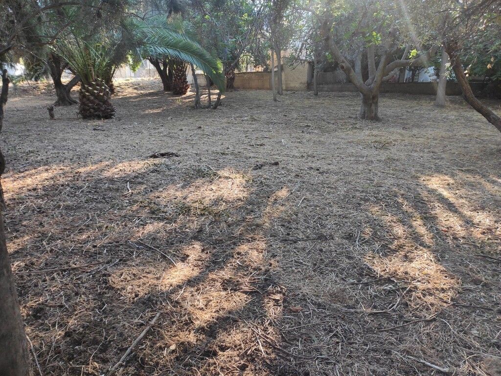 Земля в Аттике, Греция, 965 м² - фото 3