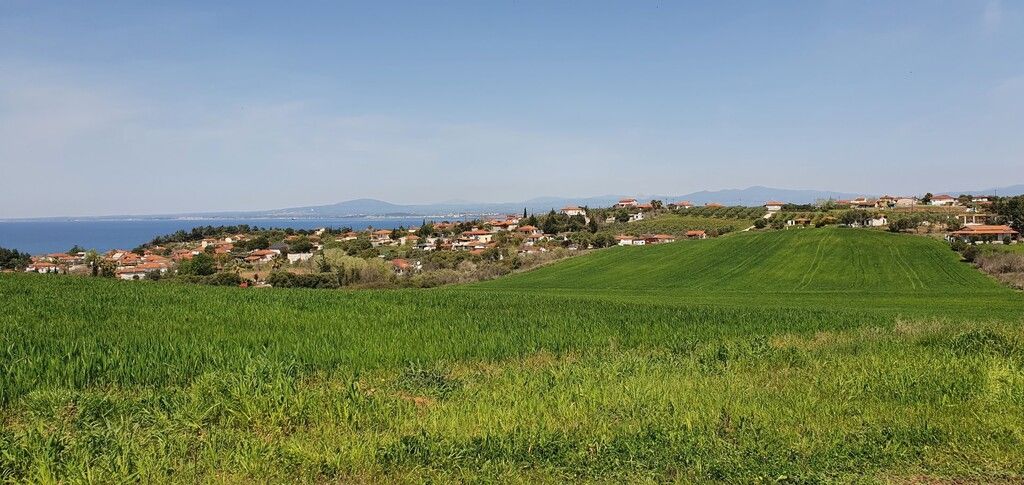Земля на Кассандре, Греция, 5 250 м² - фото 3