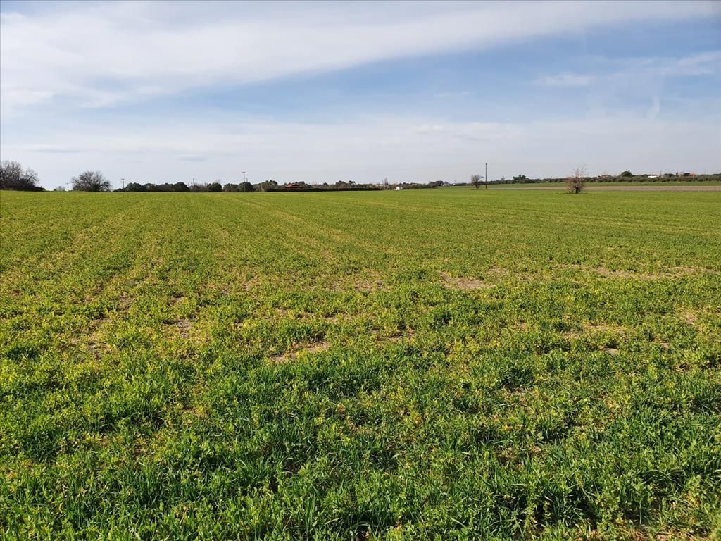 Земля на Халкидиках, Греция, 20 000 м² - фото 3