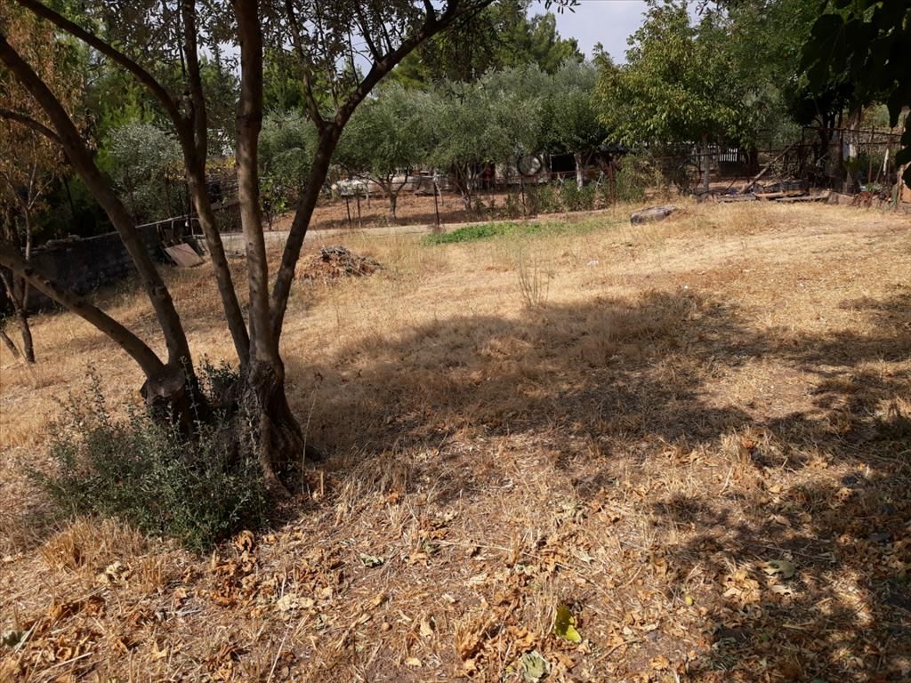 Земля в Афинах, Греция, 374 м² - фото 3