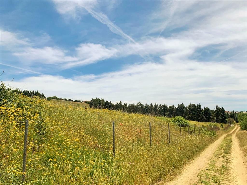 Земля в Салониках, Греция, 7 000 м² - фото 3