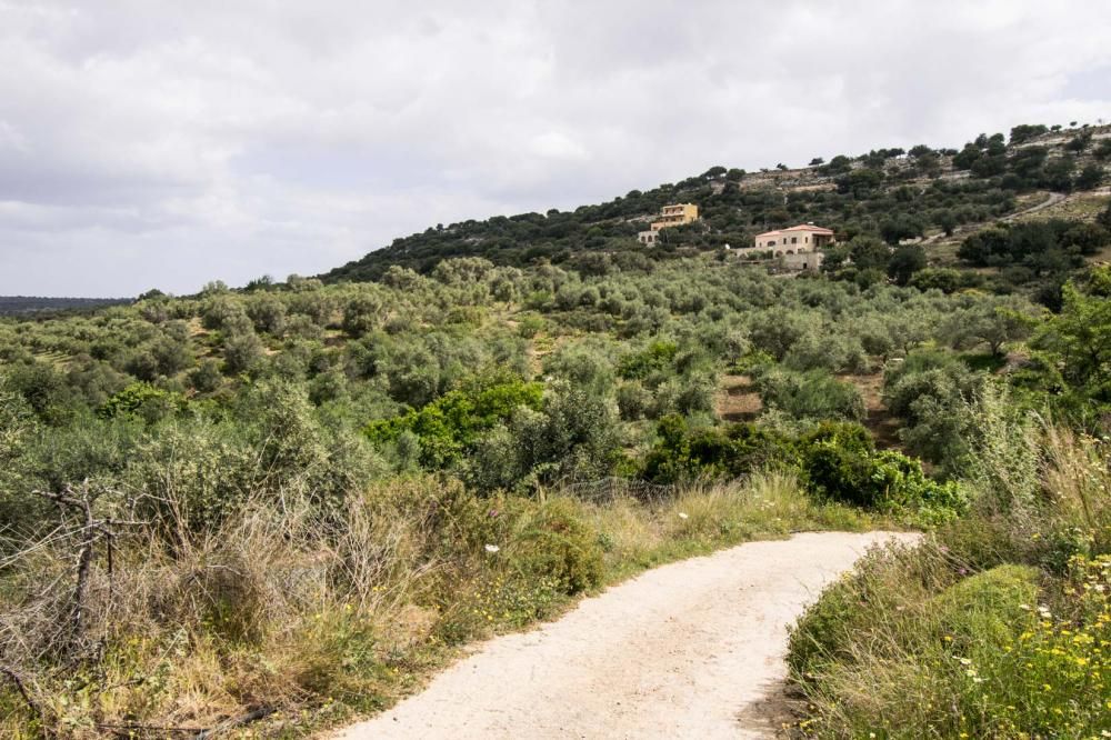 Земля в Ираклионе, Греция, 16 000 м² - фото 3