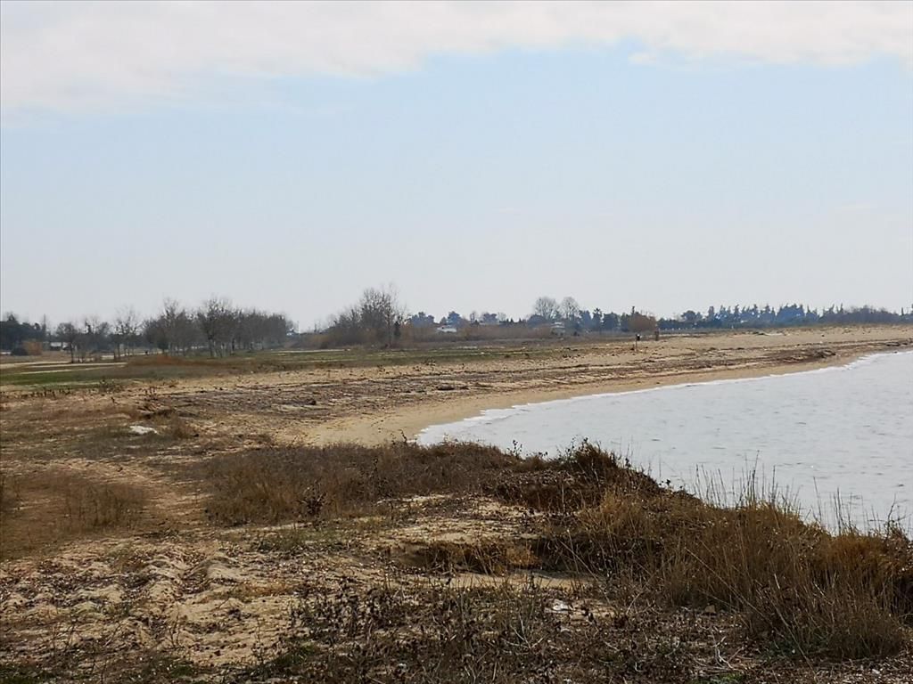 Земля на Халкидиках, Греция, 5 000 м² - фото 2