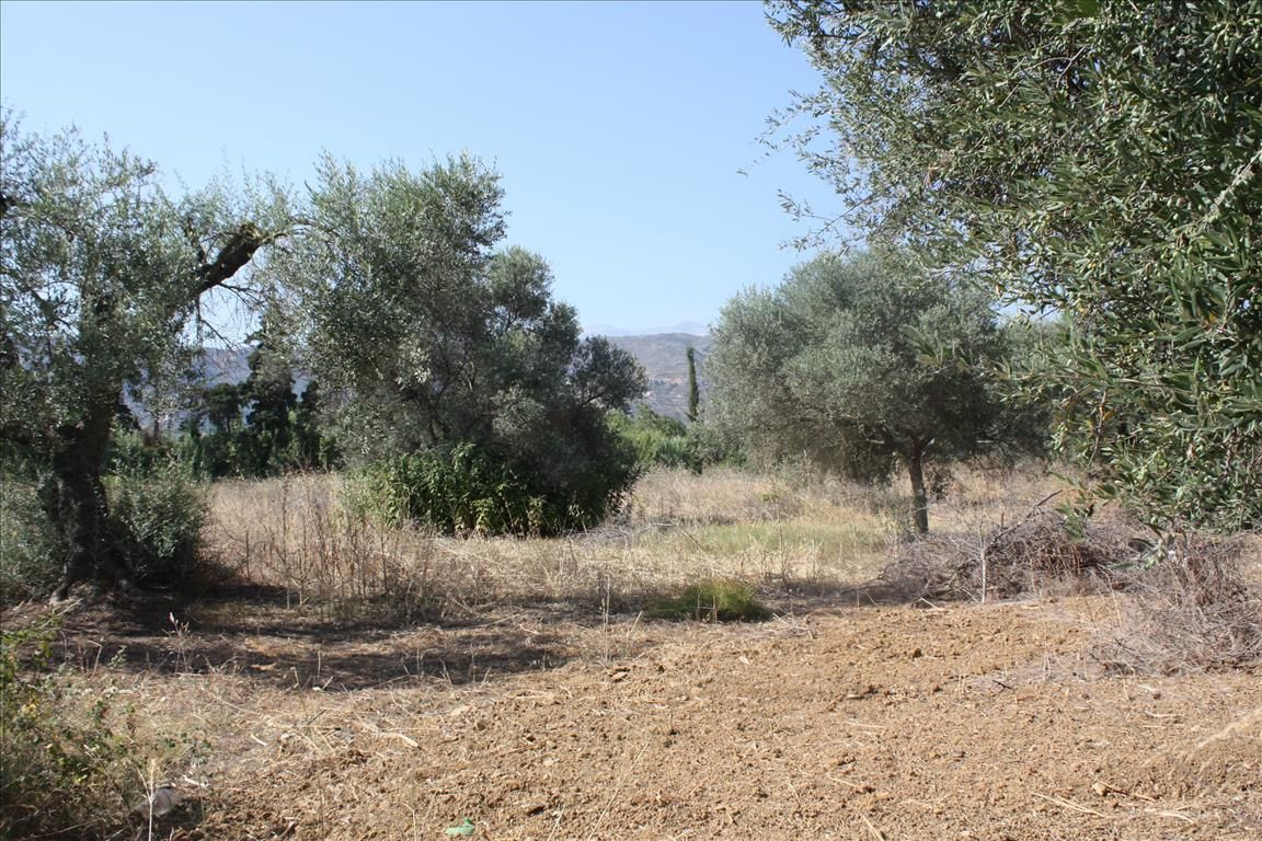 Земля в Ираклионе, Греция, 10 500 м² - фото 2