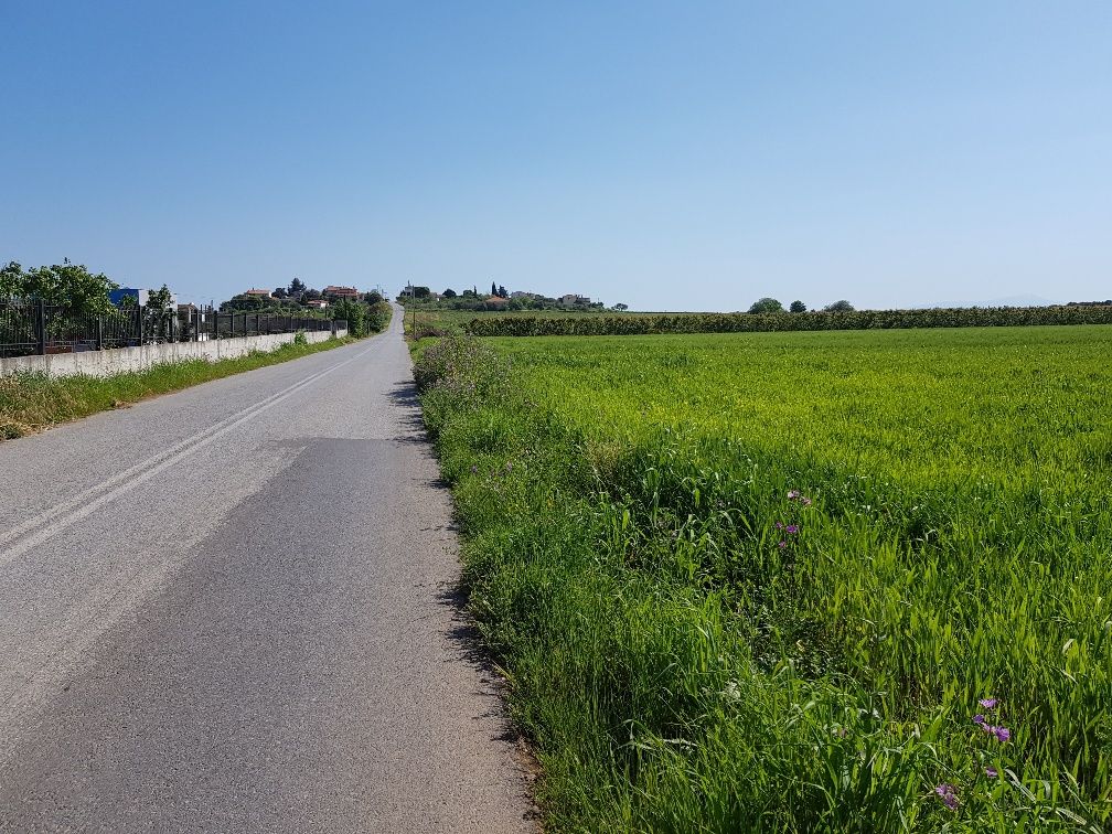 Земля на Халкидиках, Греция, 16 856 м² - фото 2