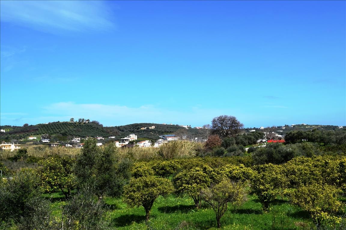 Земля в Ираклионе, Греция, 11 000 м² - фото 2