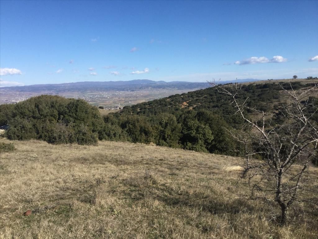 Земля в Салониках, Греция, 6 500 м² - фото 2