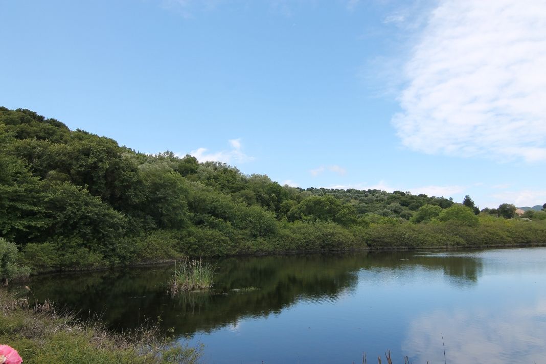 Земля на Корфу, Греция, 12 000 м² - фото 2