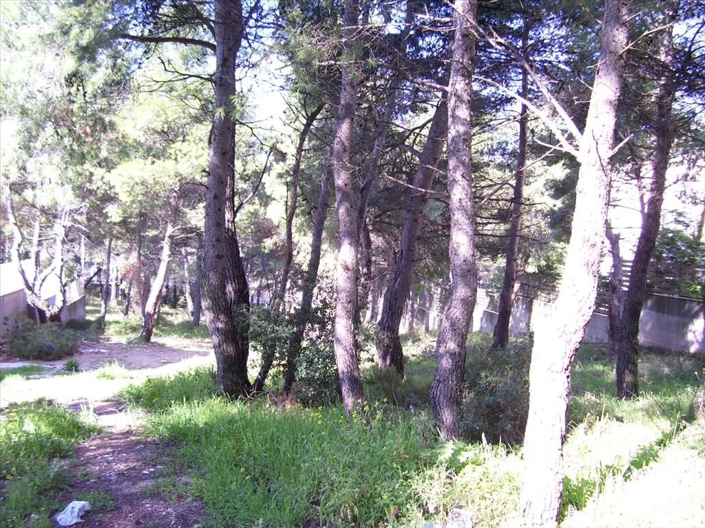 Земля в Аттике, Греция, 815 м² - фото 2