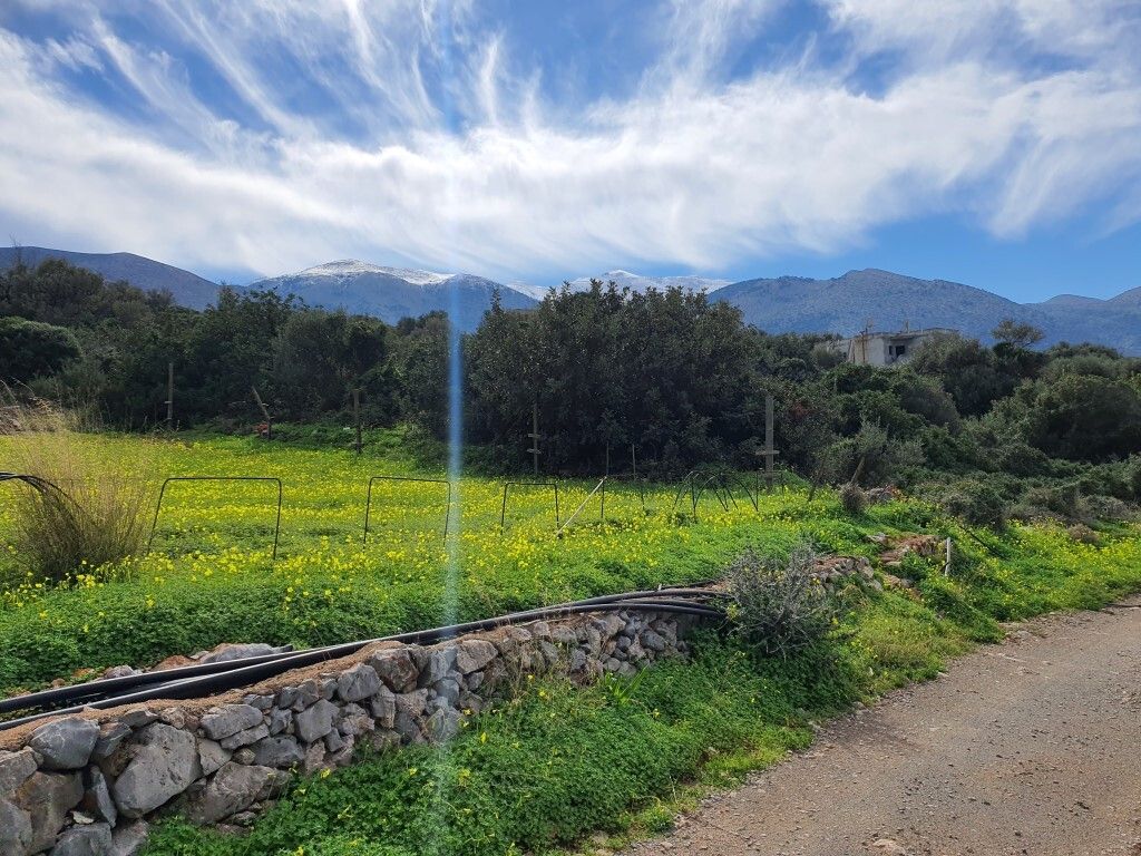 Земля в Ираклионе, Греция, 10 000 м² - фото 4