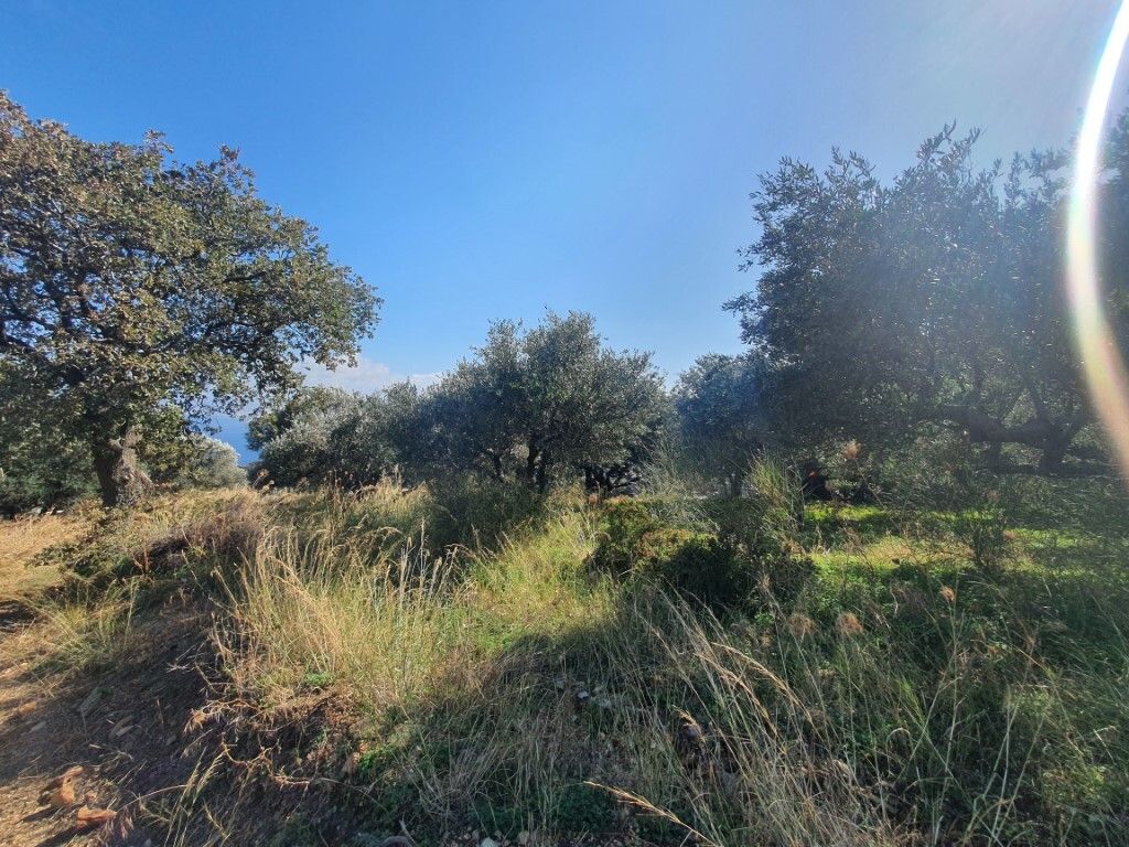 Земля в Ираклионе, Греция, 1 500 м² - фото 4