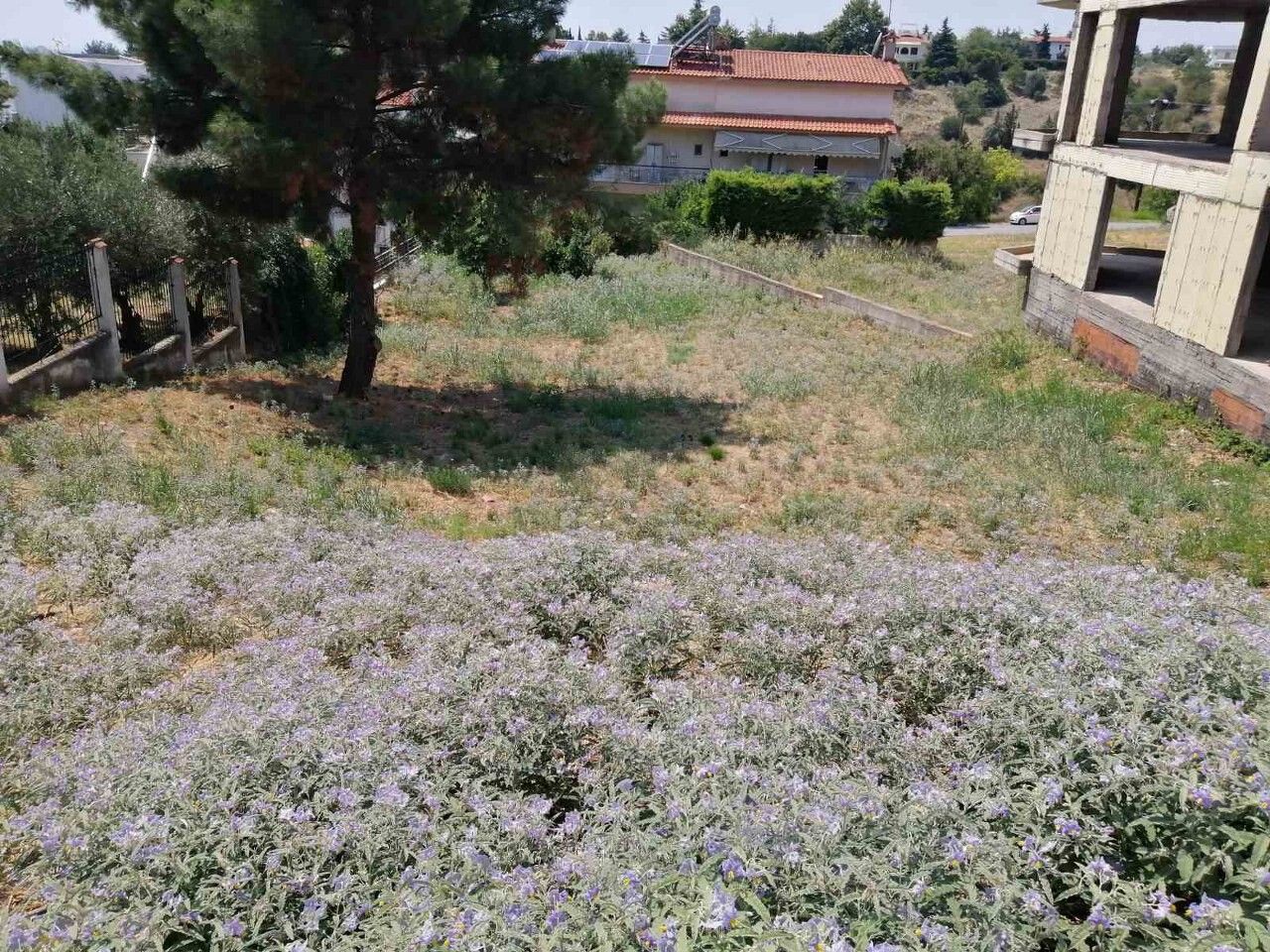 Земля в Салониках, Греция, 750 м² - фото 4