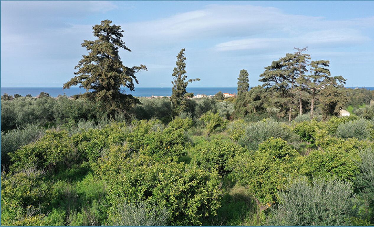 Земля в Ираклионе, Греция, 5 700 м² - фото 4