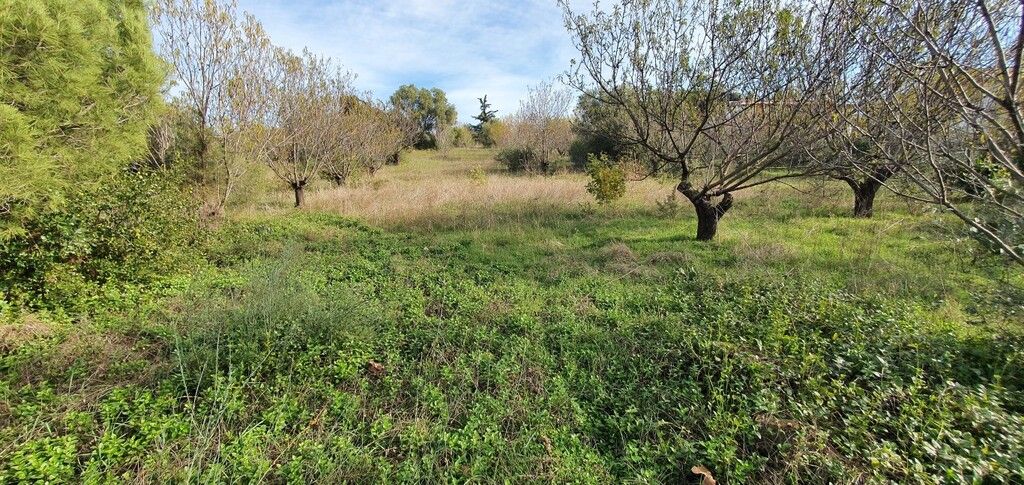 Земля на Халкидиках, Греция, 2 000 м² - фото 4