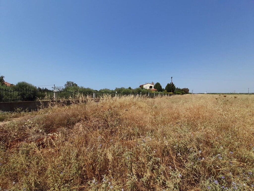 Земля на Халкидиках, Греция, 10 000 м² - фото 4