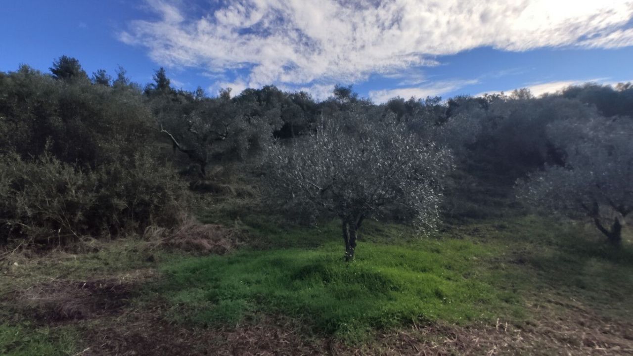 Земля в Ситонии, Греция, 14 000 м² - фото 4