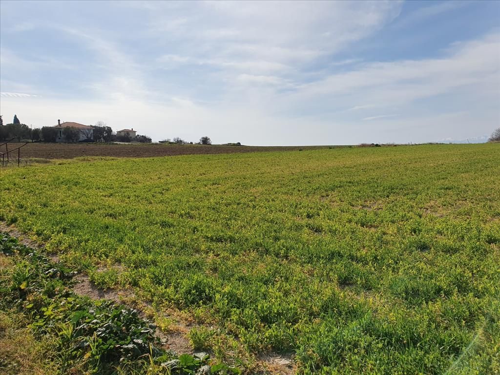 Земля на Халкидиках, Греция, 20 000 м² - фото 4