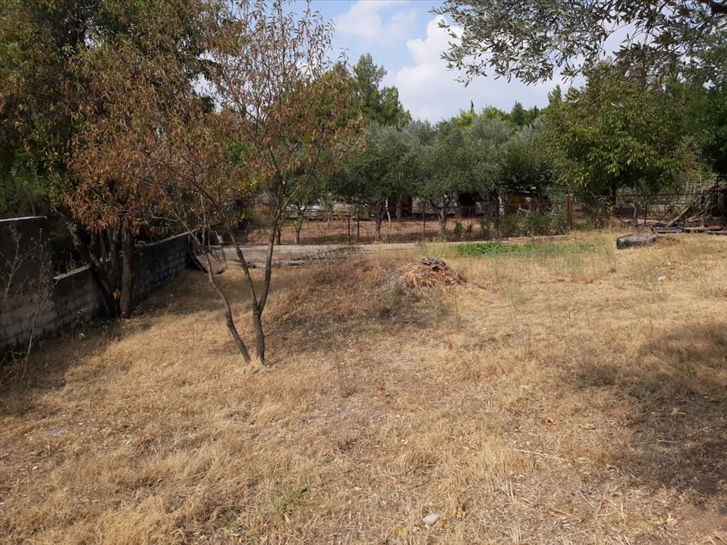 Земля в Афинах, Греция, 374 м² - фото 4