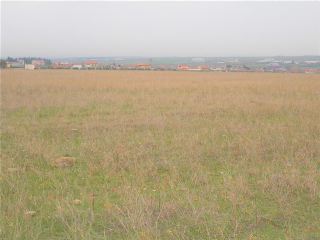 Земля на Халкидиках, Греция, 5 512 м² - фото 4