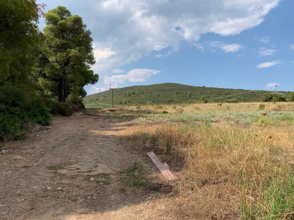 Земля в Ситонии, Греция, 5 301 м² - фото 4