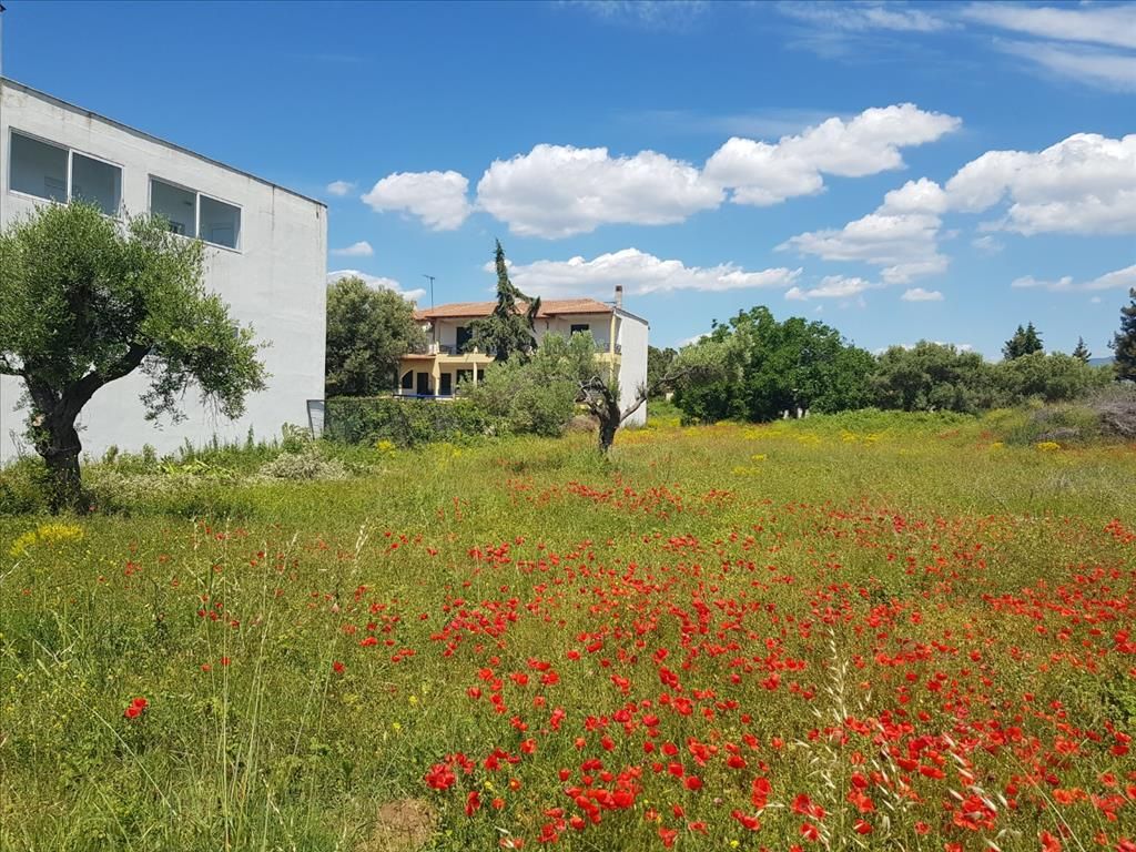 Земля в Ситонии, Греция, 449 м² - фото 4