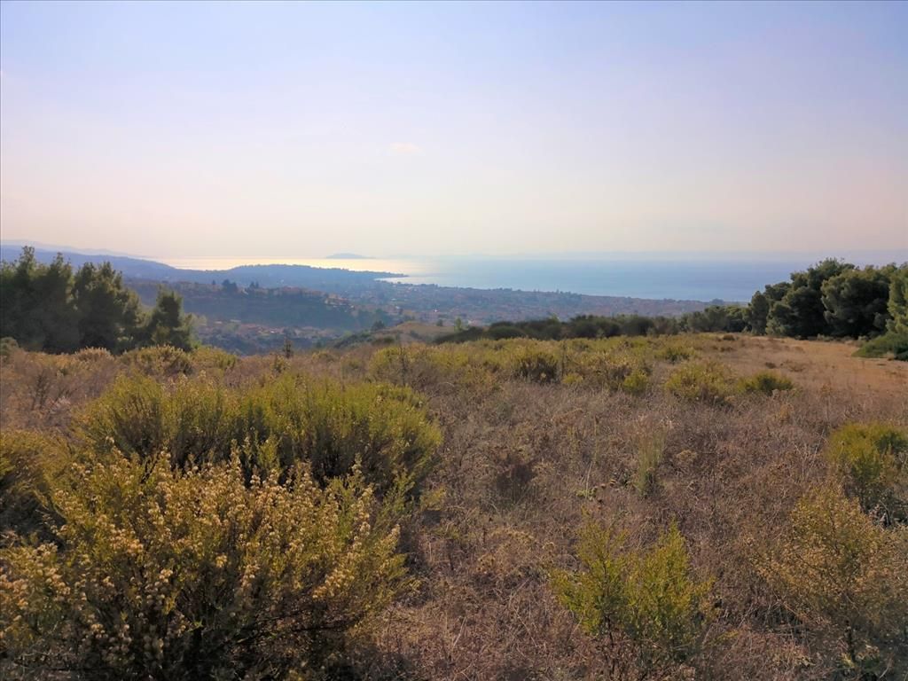 Земля в Ситонии, Греция, 5 000 м² - фото 3