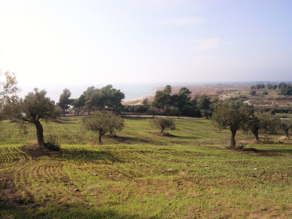 Земля в Ситонии, Греция, 45 000 м² - фото 3