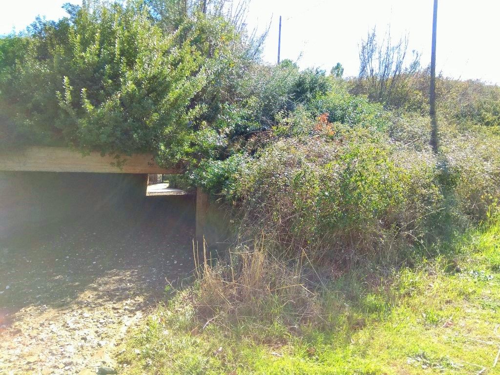 Земля в Ситонии, Греция, 5 200 м² - фото 3