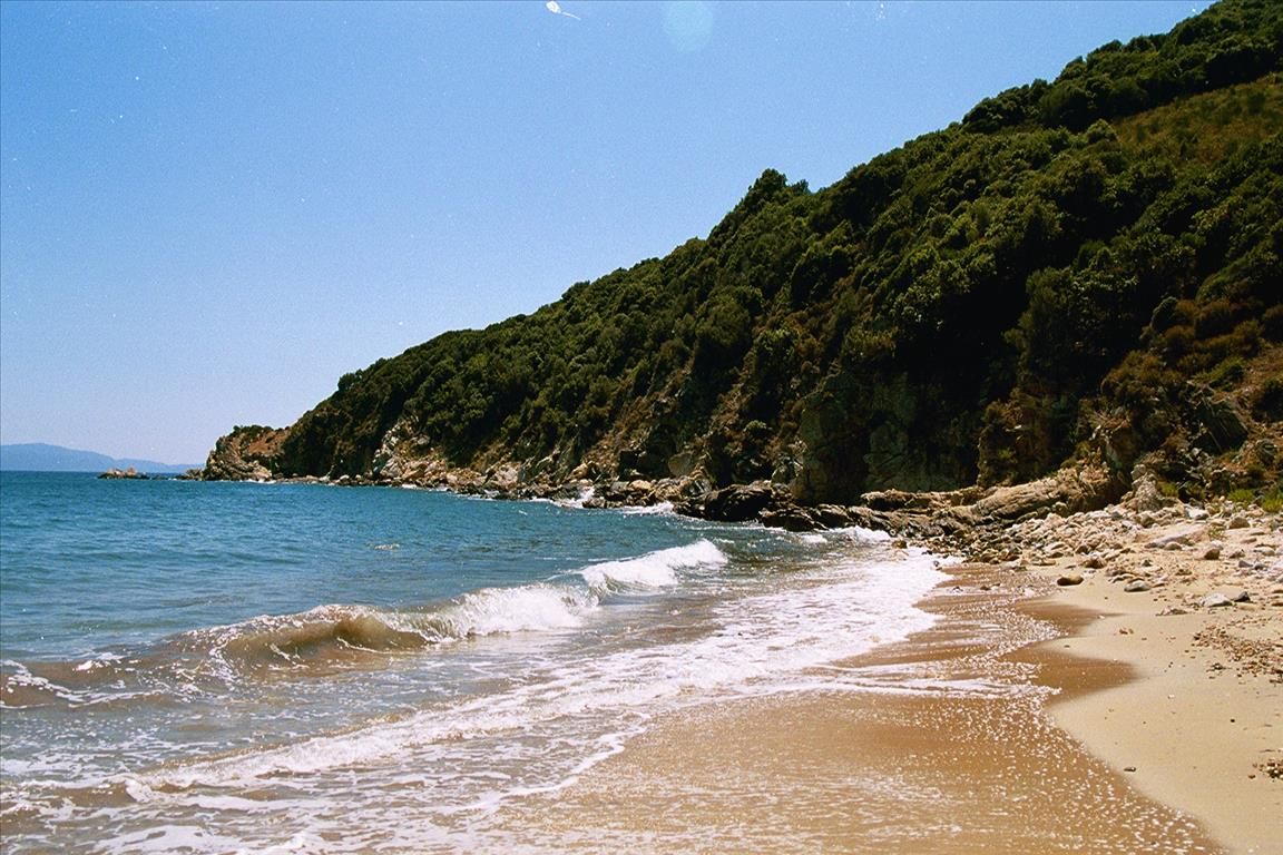 Земля на Халкидиках, Греция, 40 687 м² - фото 3