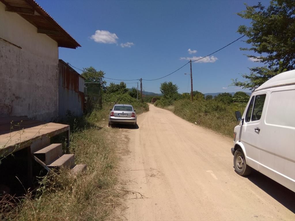 Земля на Халкидиках, Греция, 16 800 м² - фото 3