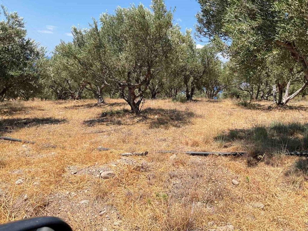 Земля в Ираклионе, Греция, 5 600 м² - фото 5