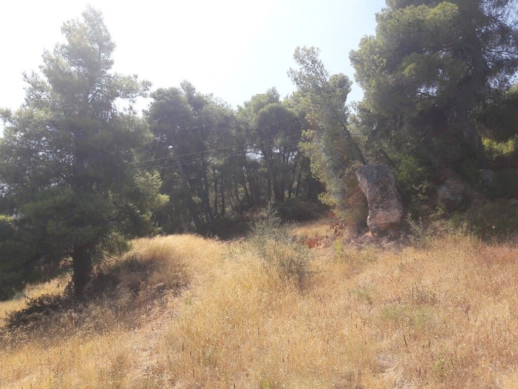 Земля в Аттике, Греция, 8 076 м² - фото 5