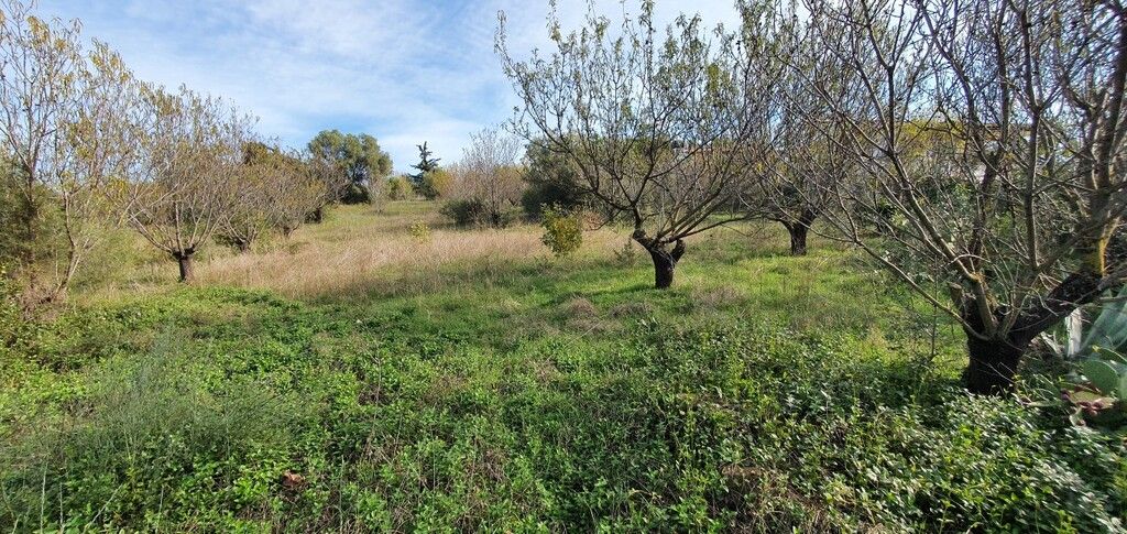 Земля на Халкидиках, Греция, 2 000 м² - фото 5