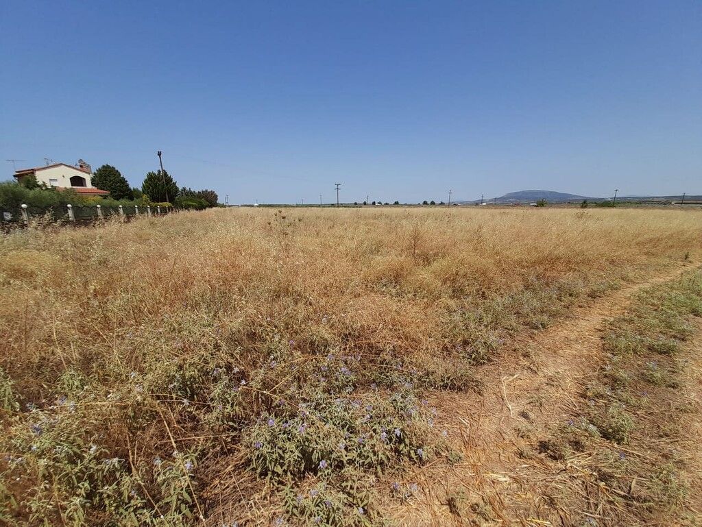 Земля на Халкидиках, Греция, 10 000 м² - фото 5