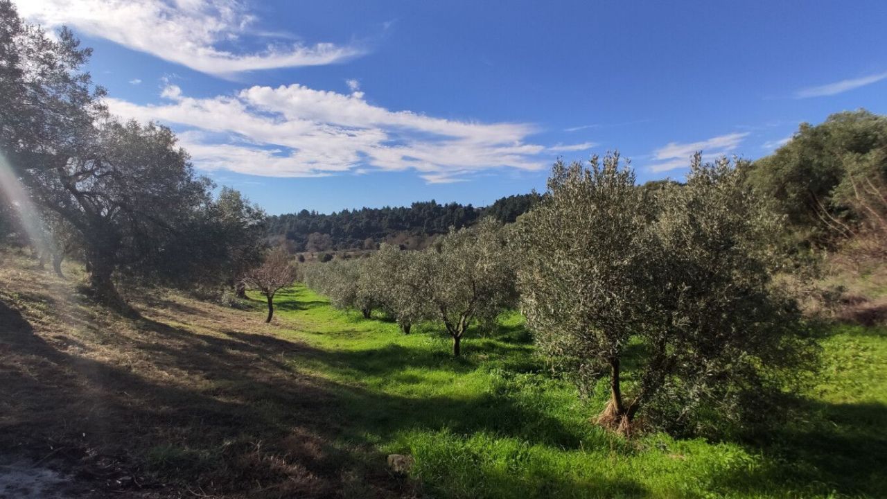 Земля в Ситонии, Греция, 14 000 м² - фото 5