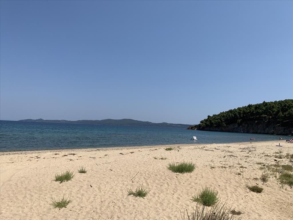 Земля на Халкидиках, Греция, 6 312 м² - фото 5