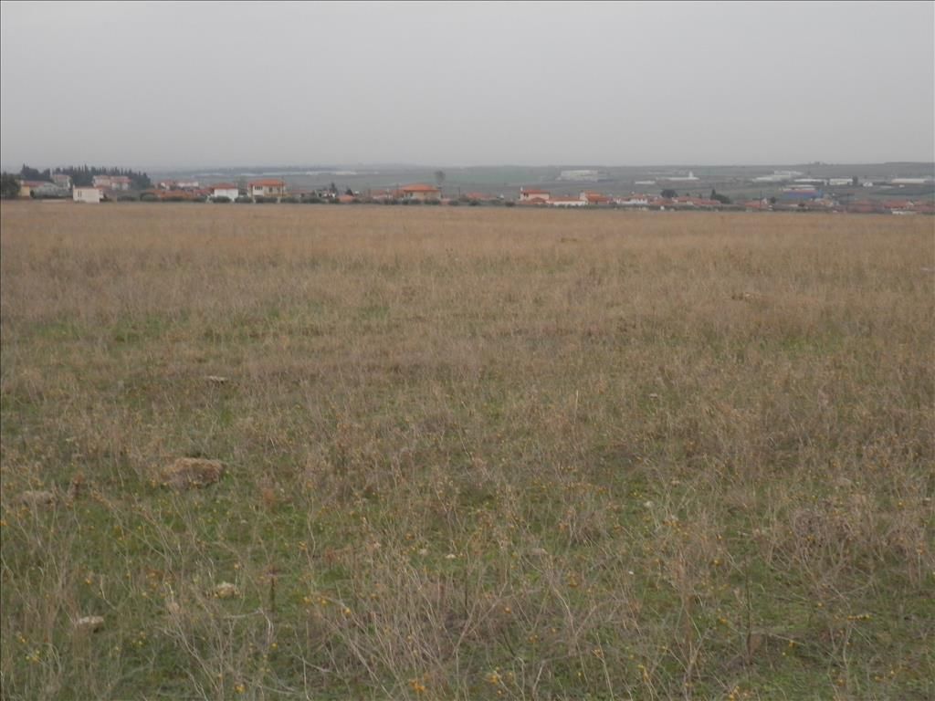 Земля на Халкидиках, Греция, 4 037 м² - фото 5