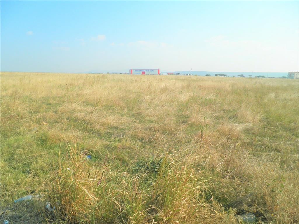 Земля на Халкидиках, Греция, 5 512 м² - фото 5